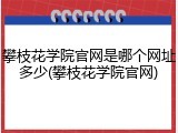 攀枝花学院官网是哪个网址多少(攀枝花学院官网)