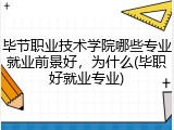 毕节职业技术学院哪些专业就业前景好，为什么(毕职好就业专业)