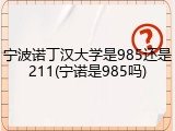 宁波诺丁汉大学是985还是211(宁诺是985吗)