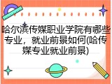 哈尔滨传媒职业学院有哪些专业，就业前景如何(哈传媒专业就业前景)