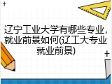 辽宁工业大学有哪些专业，就业前景如何(辽工大专业就业前景)