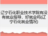辽宁石化职业技术学院有没有就业指导，好就业吗(辽宁石化就业情况)