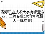 青海职业技术大学有哪些专业，王牌专业分析(青海职大王牌专业)