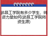 武昌工学院有多少学生，师资力量如何(武昌工学院师资生源)