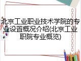 北京工业职业技术学院的专业设置概况介绍(北京工业职院专业概览)