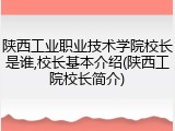 陕西工业职业技术学院校长是谁,校长基本介绍(陕西工院校长简介)