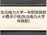 东北电力大学一年财政拨款大概多少钱(东北电力大学年拨款)
