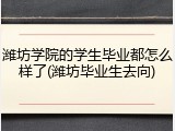 潍坊学院的学生毕业都怎么样了(潍坊毕业生去向)