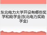 东北电力大学开设有哪些奖学和助学金(东北电力奖助学金)
