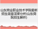 山东商业职业技术学院最新招生简章深度分析(山东商院招生解析)