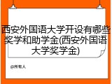 西安外国语大学开设有哪些奖学和助学金(西安外国语大学奖学金)