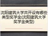 沈阳建筑大学共开设有哪些类型奖学金(沈阳建筑大学奖学金类型)