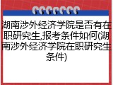 湖南涉外经济学院是否有在职研究生,报考条件如何(湖南涉外经济学院在职研究生条件)