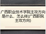 广西职业技术学院主攻方向是什么，怎么样(广西职院主攻方向)