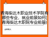 青海柴达木职业技术学院有哪些专业，就业前景如何(青海柴达木职院专业前景)