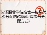 菏泽职业学院宿舍一般是怎么分配的(菏泽职院宿舍分配方式)