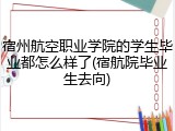 宿州航空职业学院的学生毕业都怎么样了(宿航院毕业生去向)