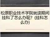 松原职业技术学院就读期间挂科了怎么办呢？(挂科怎么办)