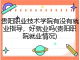 贵阳职业技术学院有没有就业指导，好就业吗(贵阳职院就业情况)