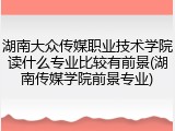 湖南大众传媒职业技术学院读什么专业比较有前景(湖南传媒学院前景专业)