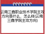 云南三鑫职业技术学院主攻方向是什么，怎么样(云南三鑫学院主攻方向)