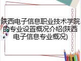 陕西电子信息职业技术学院的专业设置概况介绍(陕西电子信息专业概况)