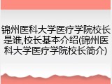 锦州医科大学医疗学院校长是谁,校长基本介绍(锦州医科大学医疗学院校长简介)
