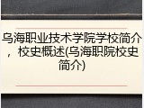 乌海职业技术学院学校简介，校史概述(乌海职院校史简介)