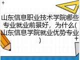 山东信息职业技术学院哪些专业就业前景好，为什么(山东信息学院就业优势专业)