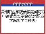 滨州职业学院就读期间可以申请哪些奖学金(滨州职业学院奖学金种类)