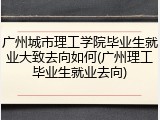 广州城市理工学院毕业生就业大致去向如何(广州理工毕业生就业去向)