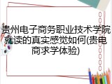 贵州电子商务职业技术学院就读的真实感觉如何(贵电商求学体验)