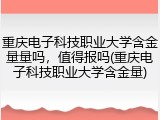 重庆电子科技职业大学含金量量吗，值得报吗(重庆电子科技职业大学含金量)