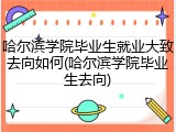 哈尔滨学院毕业生就业大致去向如何(哈尔滨学院毕业生去向)