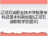 辽河石油职业技术学院是专科还是本科院校呢(辽河石油职院学历层次)