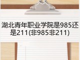 湖北青年职业学院是985还是211(非985非211)
