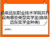 曲阜远东职业技术学院共开设有哪些类型奖学金(曲阜远东奖学金种类)