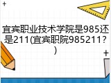 宜宾职业技术学院是985还是211(宜宾职院985211？)