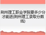 荆州理工职业学院要多少分才能进(荆州理工录取分数线)