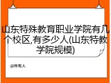 山东特殊教育职业学院有几个校区,有多少人(山东特教学院规模)