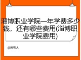 淄博职业学院一年学费多少钱，还有哪些费用(淄博职业学院费用)