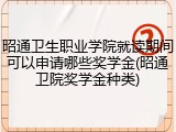 昭通卫生职业学院就读期间可以申请哪些奖学金(昭通卫院奖学金种类)