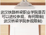 武汉铁路桥梁职业学院是否可以进校参观,有何限制(武汉桥梁学院参观限制)