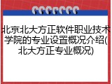 北京北大方正软件职业技术学院的专业设置概况介绍(北大方正专业概况)