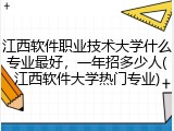 江西软件职业技术大学什么专业最好，一年招多少人(江西软件大学热门专业)
