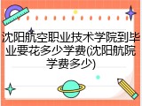 沈阳航空职业技术学院到毕业要花多少学费(沈阳航院学费多少)