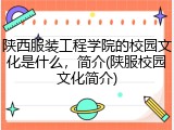 陕西服装工程学院的校园文化是什么,简介(陕服校园文化简介)