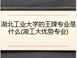 湖北工业大学的王牌专业是什么(湖工大优势专业)