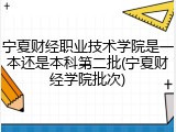 宁夏财经职业技术学院是一本还是本科第二批(宁夏财经学院批次)