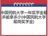中国民航大学一年奖学金最多能拿多少(中国民航大学最高奖学金)